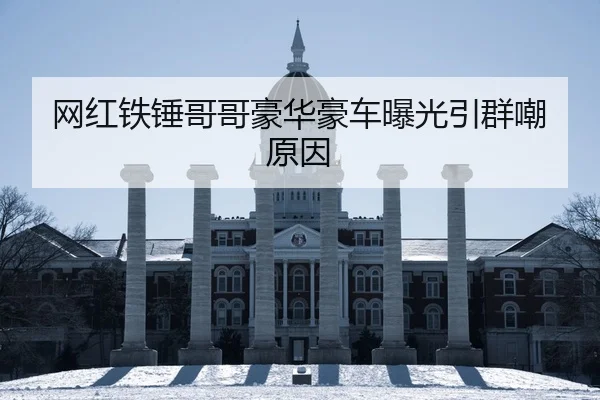 wang-hong-tie-chui-ge-ge-hao-hua-hao-che-bao-guang-yin-qun-chao-yuan-yin-2-263.jpg