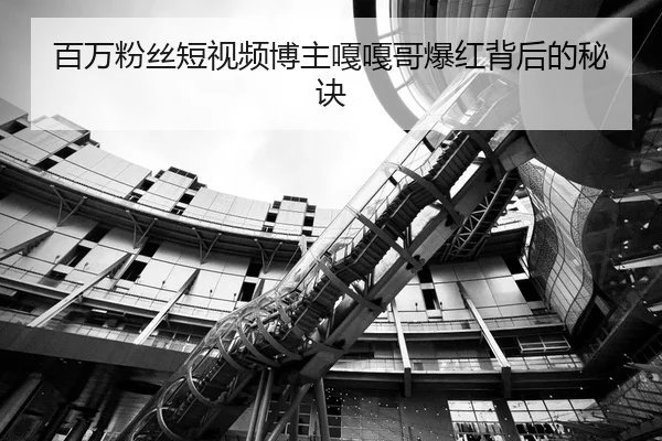 百万粉丝短视频博主嘎嘎哥爆红背后的秘诀